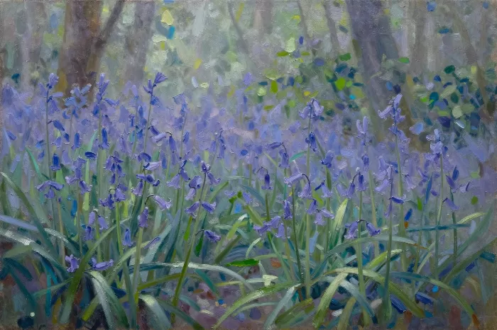 Bluebell Canopy