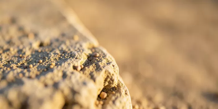 Sandstone Fragment