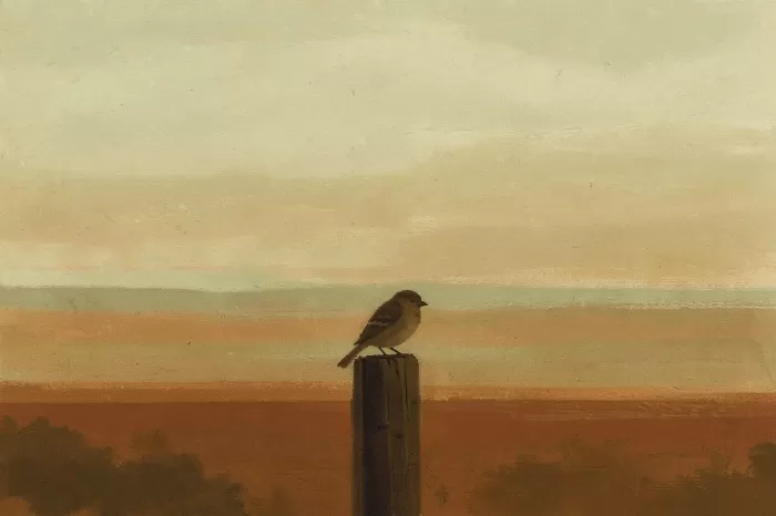 Gentle Haze