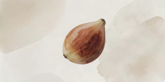 Fig Curve