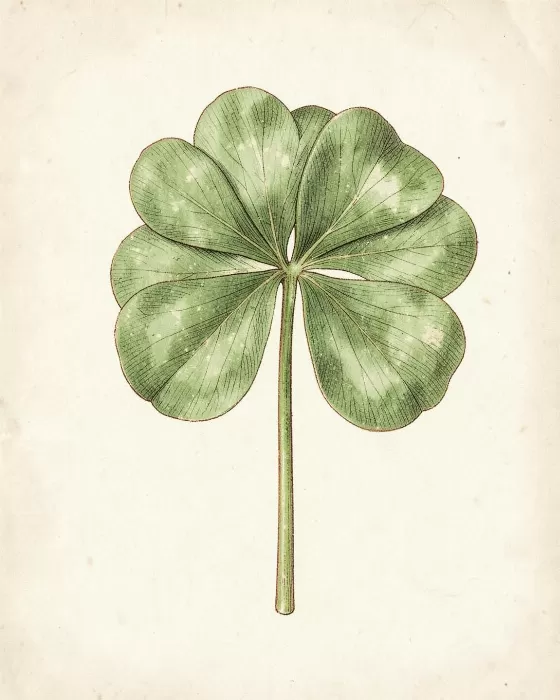 Vintage Botanical