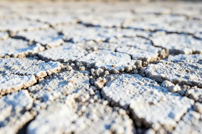 Salt Crust