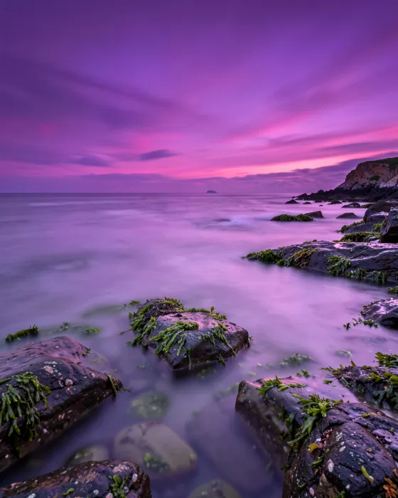 Amethyst Tide