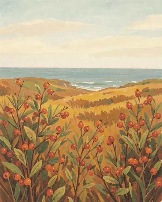 Barrens Berries
