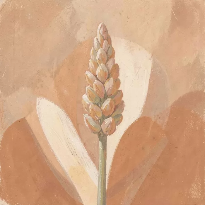 Lupine Hush