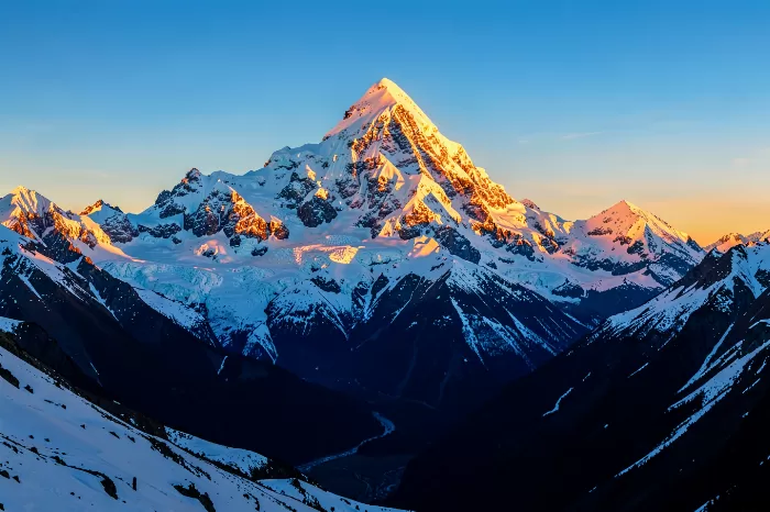 Alpine Gold