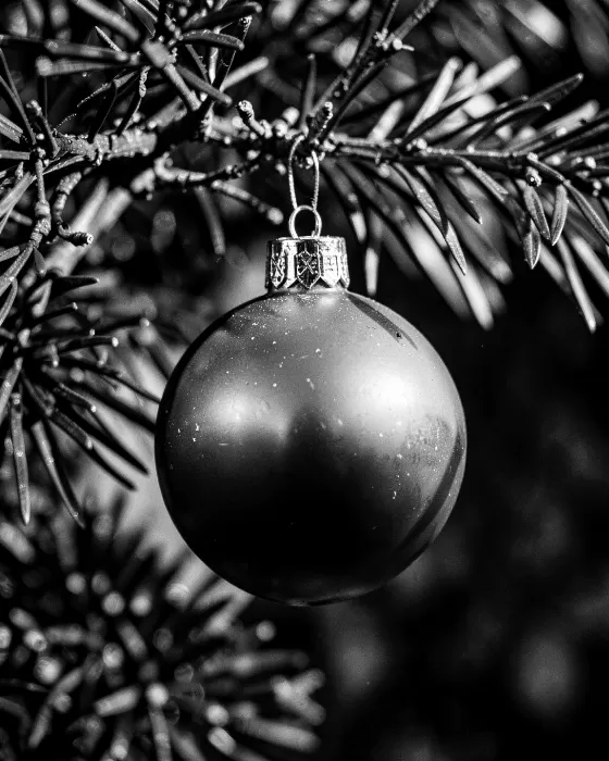 Ornament Branch
