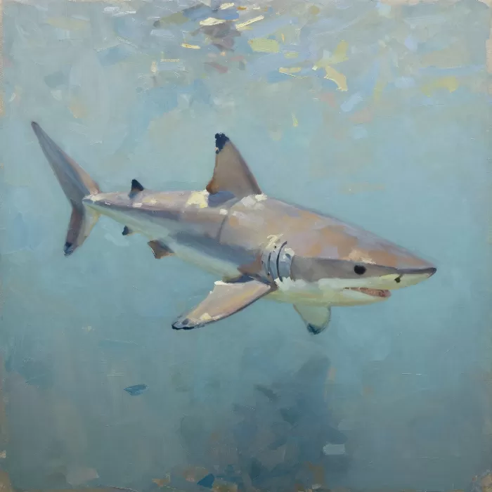 Ocean Predator