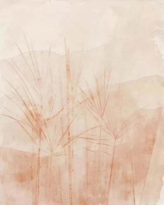 Rust Palm