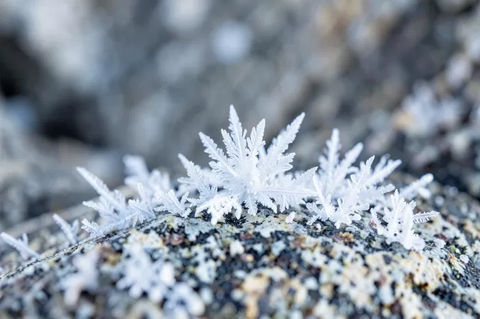Granite Ice