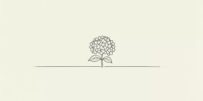 Quiet Hydrangea