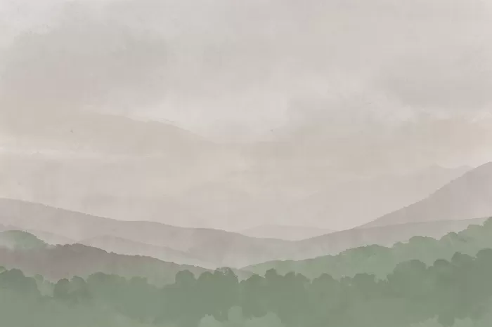 Bone Meadow