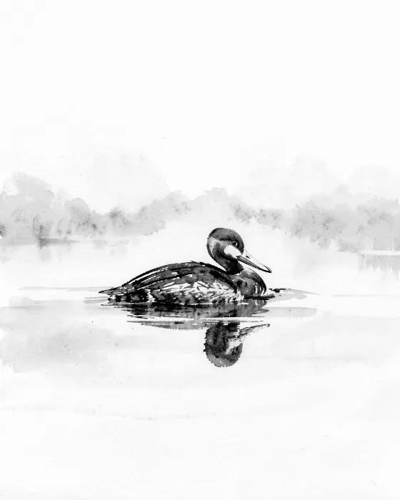 Ink Loon