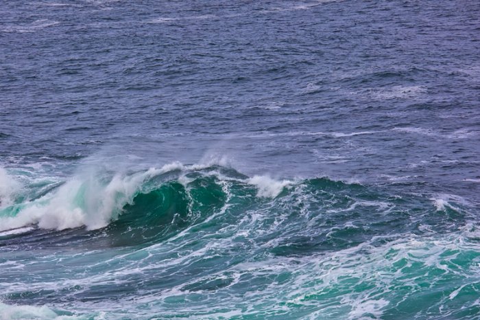Tors Cove Wave 2 - Newfoundland art print