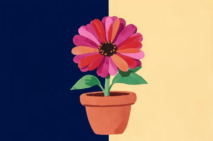Zinnia Study
