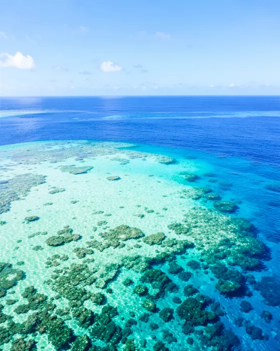 Lagoon Colours