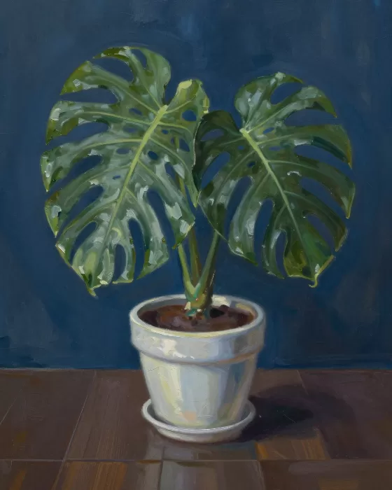 Monstera Elegance