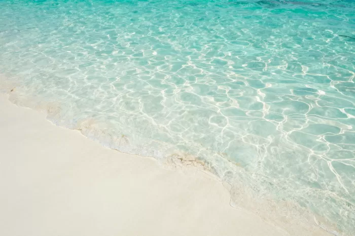Bahama Sandbar