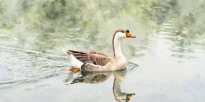 Quiet Glide