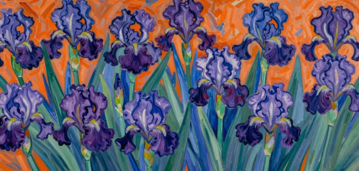 Iris Radiance