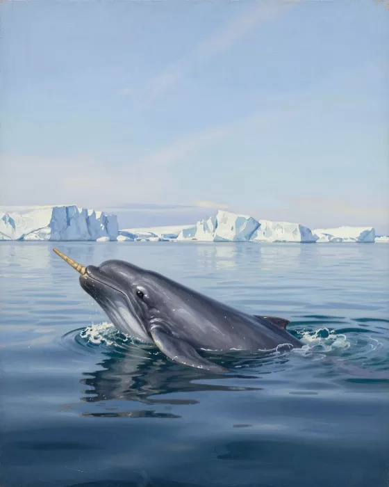 Arctic Rising