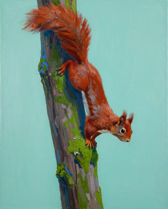 Squirrel Climb