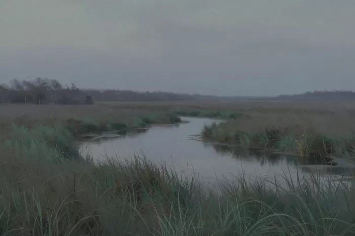 Marsh Haze