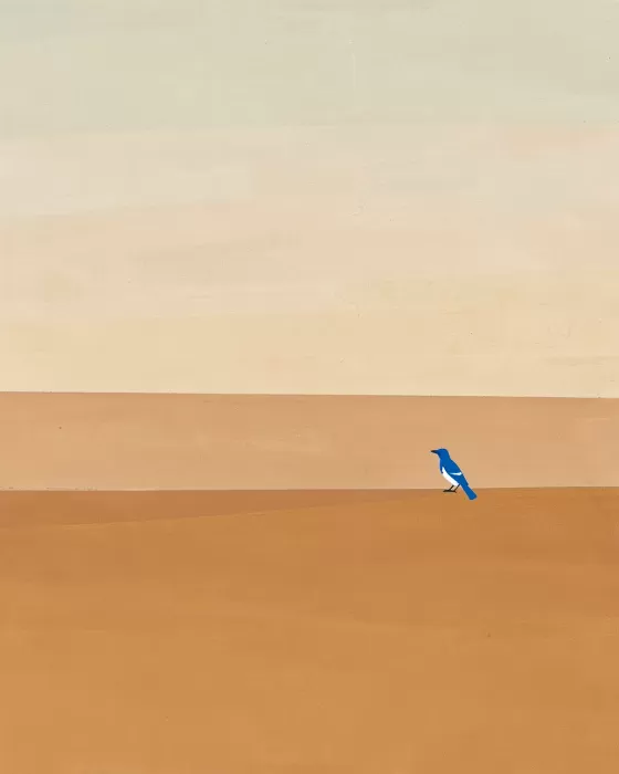 Jay Horizon