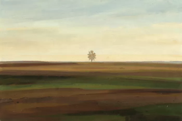 Quiet Field