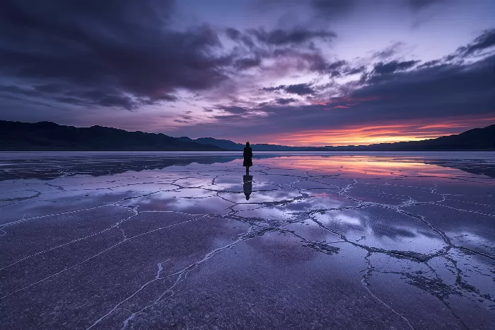 Salt Solitude