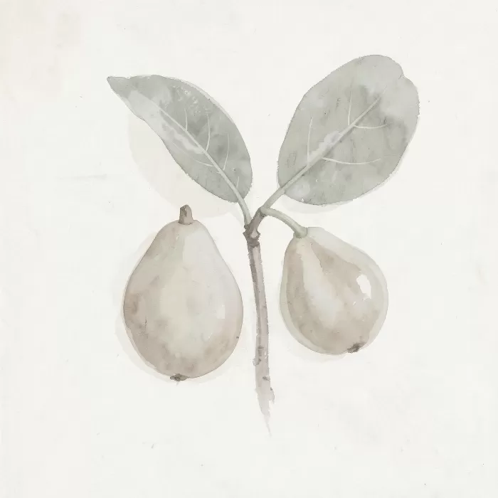 Parchment Figs