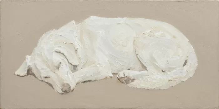 Sleeping Comma