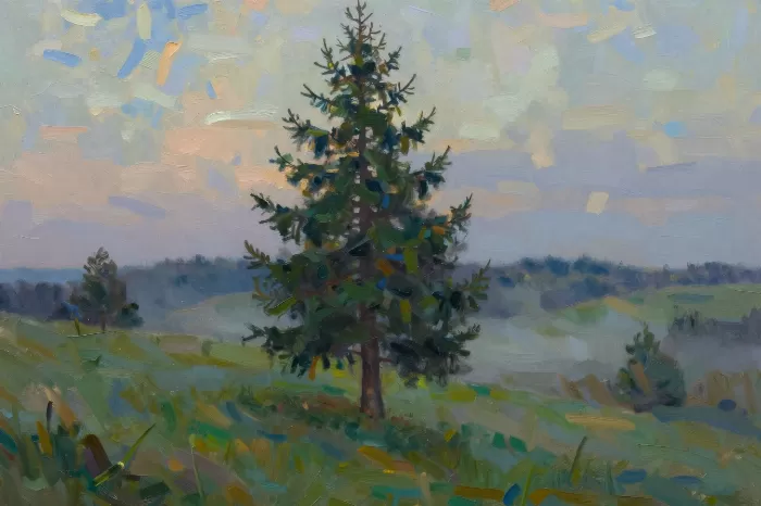 Lone Evergreen