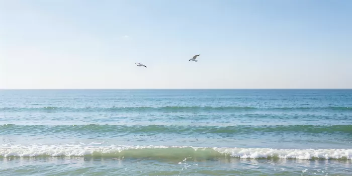 Sea Air