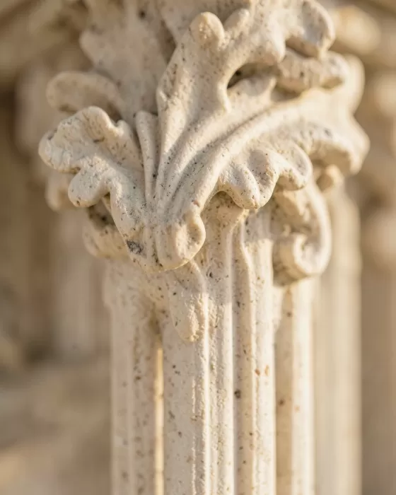 Acanthus Detail