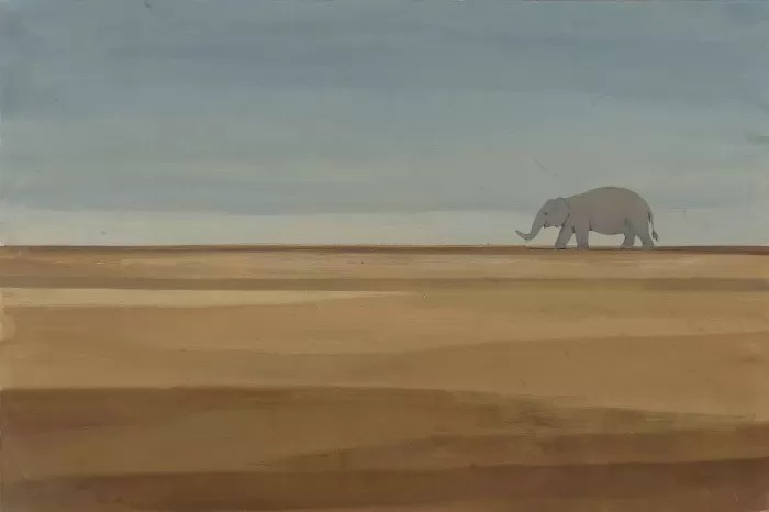 Elephant Field