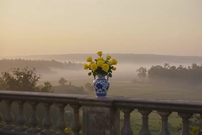 Misty Balustrade