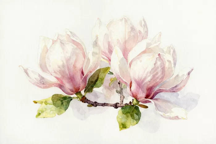 Blush Branch