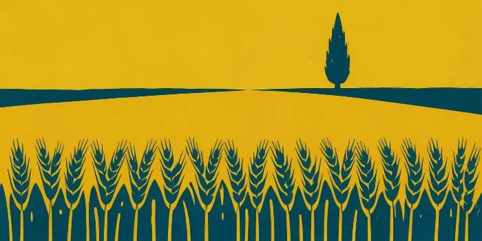 Mustard Horizon