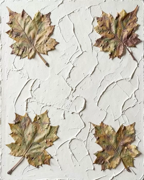 Leaf Relief