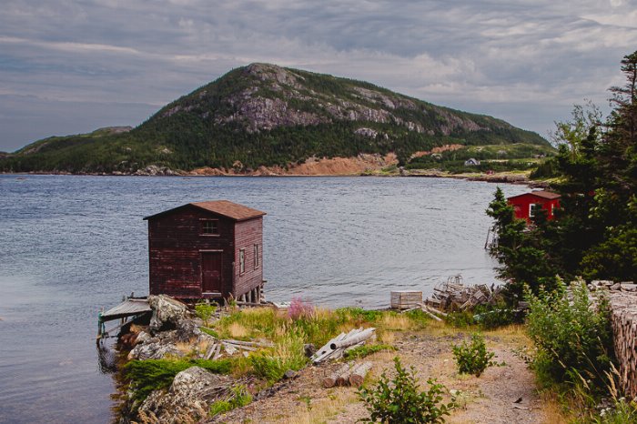 Salvage - Newfoundland art print