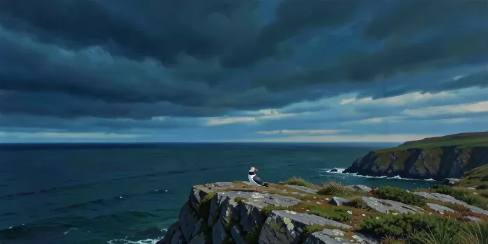 Headland Sky