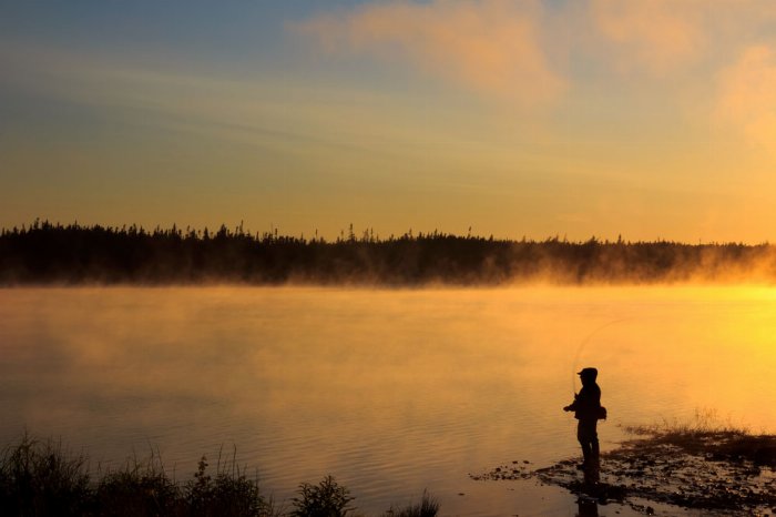 Fly Fisher - Newfoundland art print