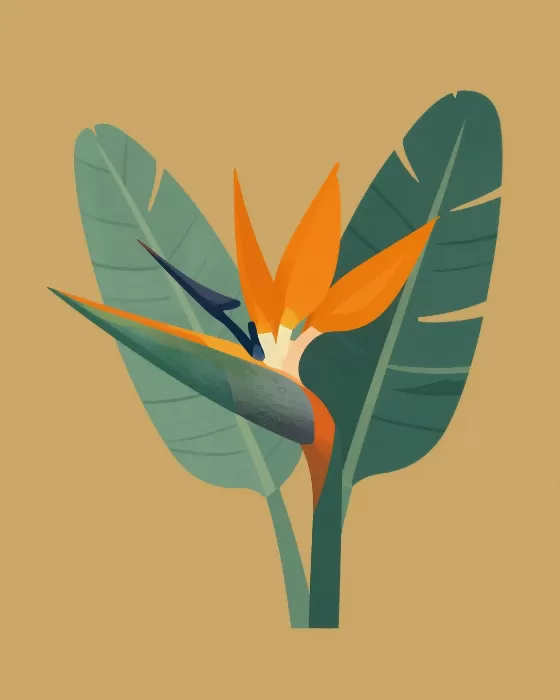 Geometric Bird