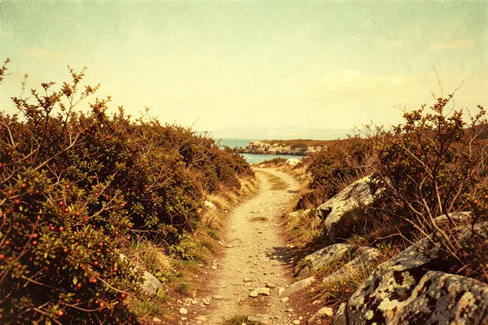Coastal Trail