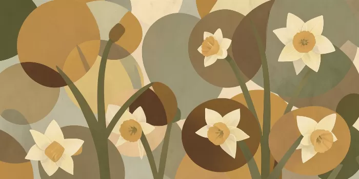 Daffodil Arcs