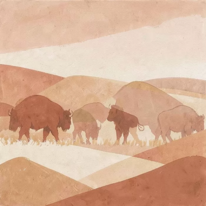 Herd Plain