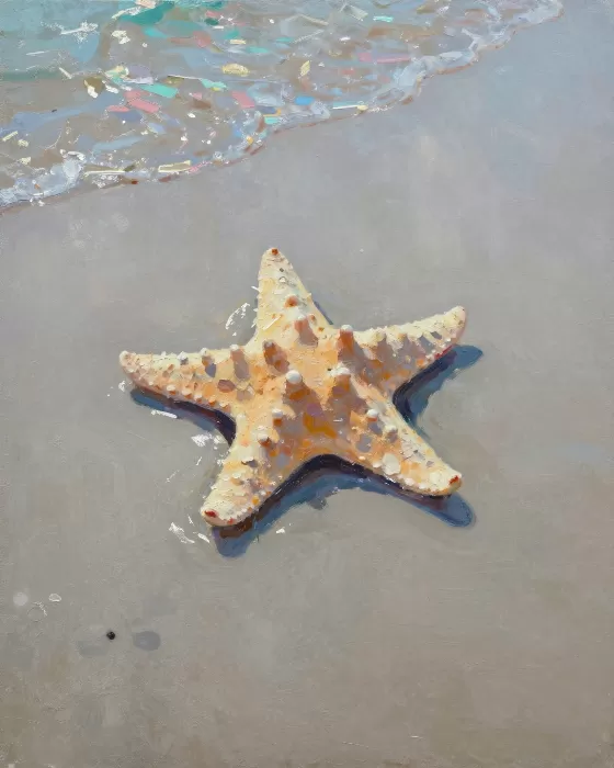 Wet Sand Star