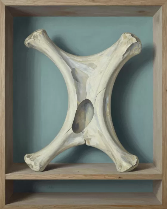 Vertebra Cubed