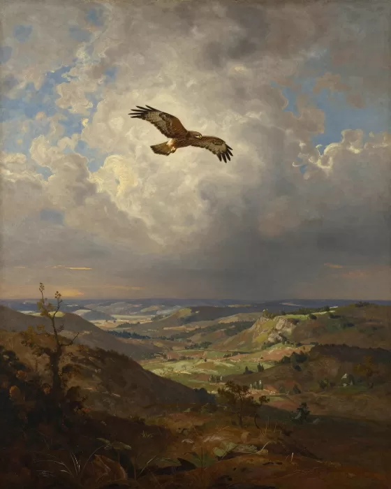 Valley Watch